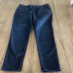 Wit and Wisdom skinny Jean with ab panel.